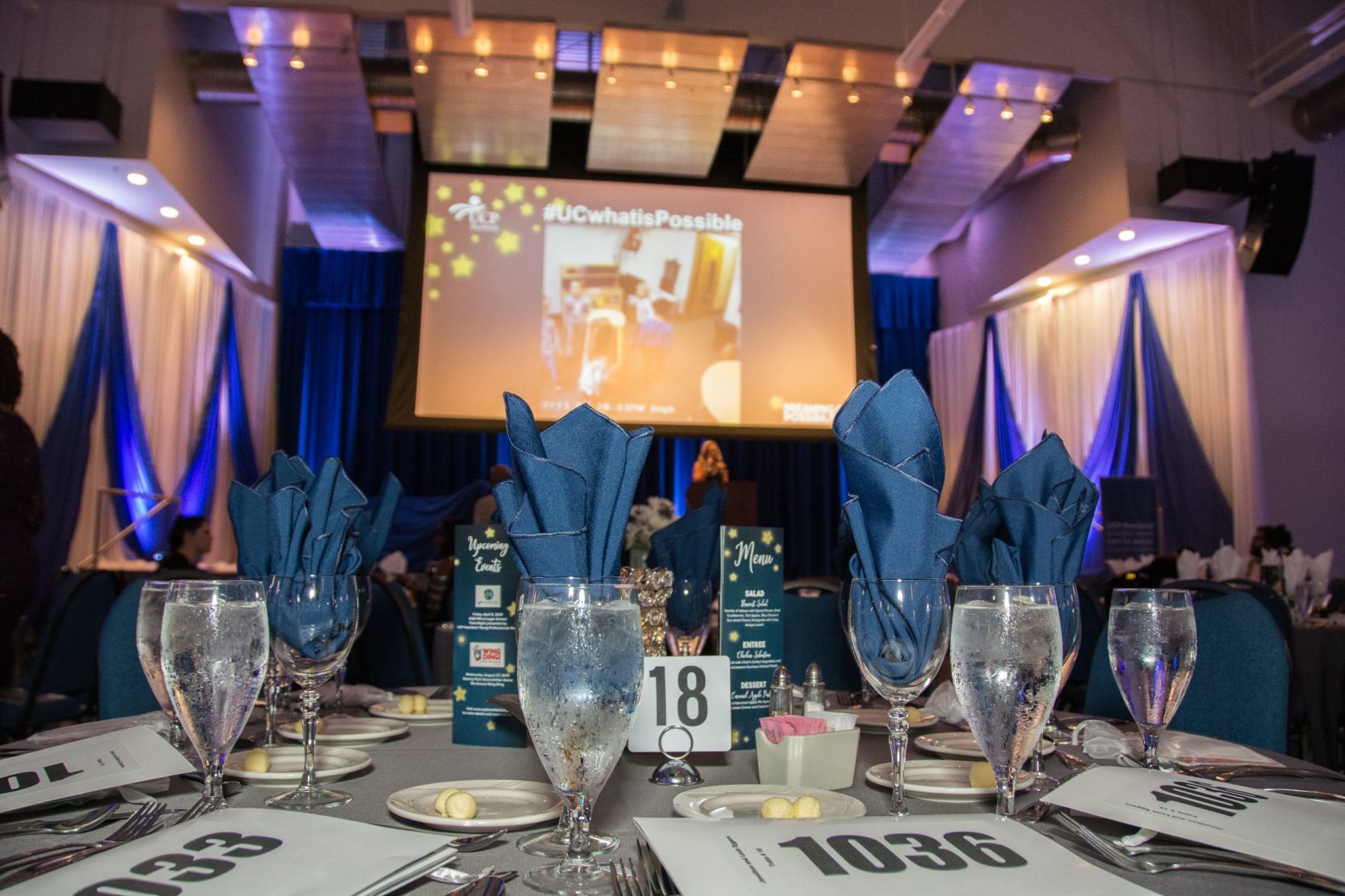 UCP Heartland 2019 Dream Gala: Dreaming of Possibilities